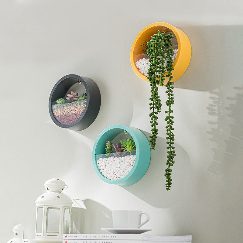 Round Wall Mounted Flower Vase