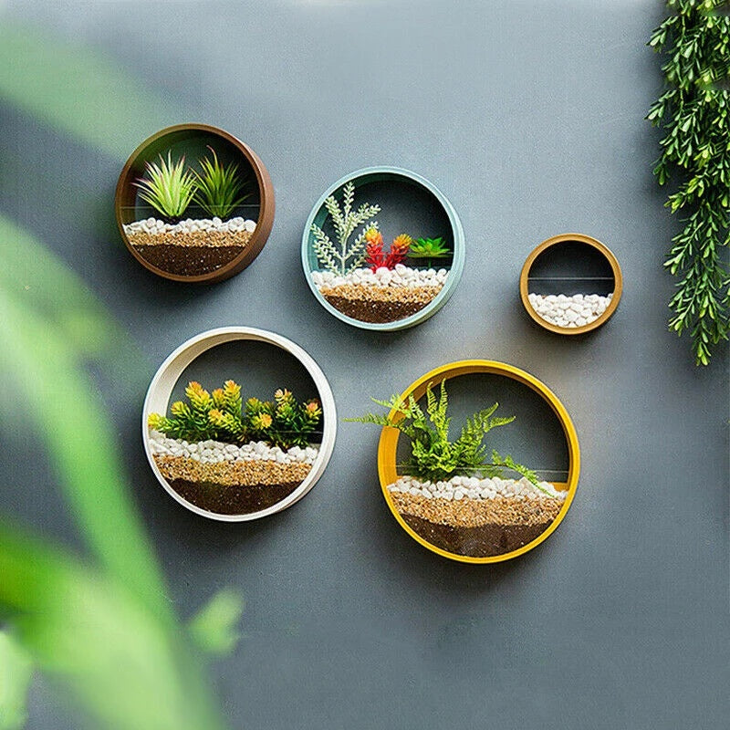 Round Wall Mounted Flower Vase