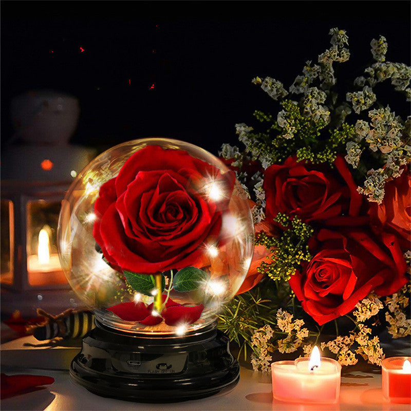 Real Eternal Rose Sphere with String Lights