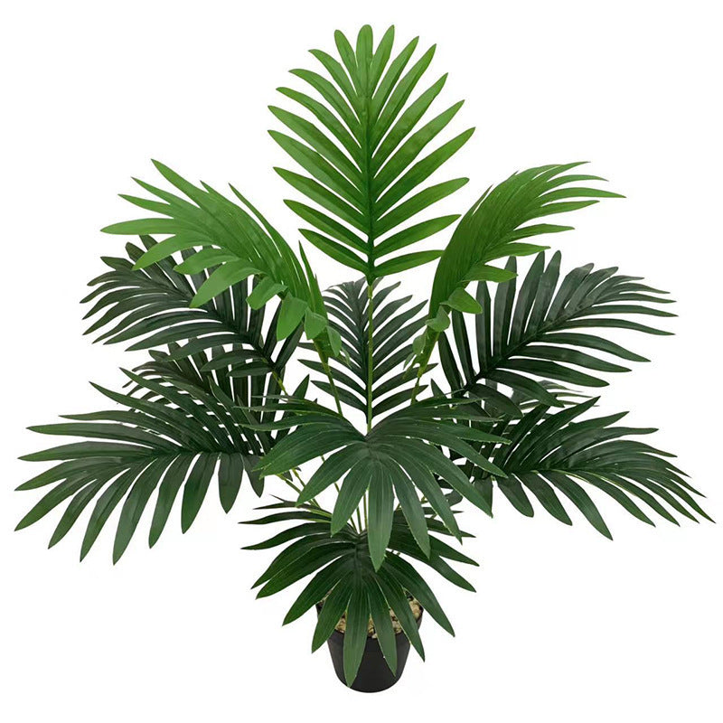 Green Garden Floor Plant