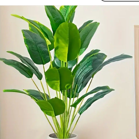 Green Garden Floor Plant