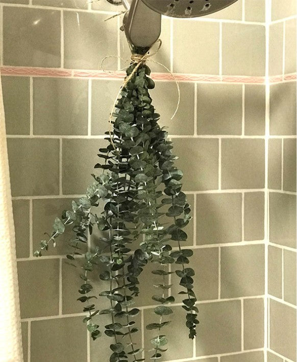 Bathroom Shower Natural Dried Eucalyptus Leaves, Flowers & Lavender