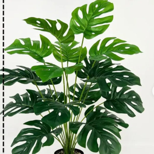 Green Garden Floor Plant