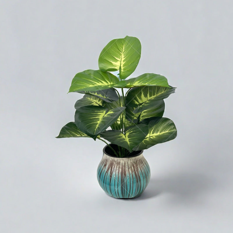 Green Garden Floor Plant