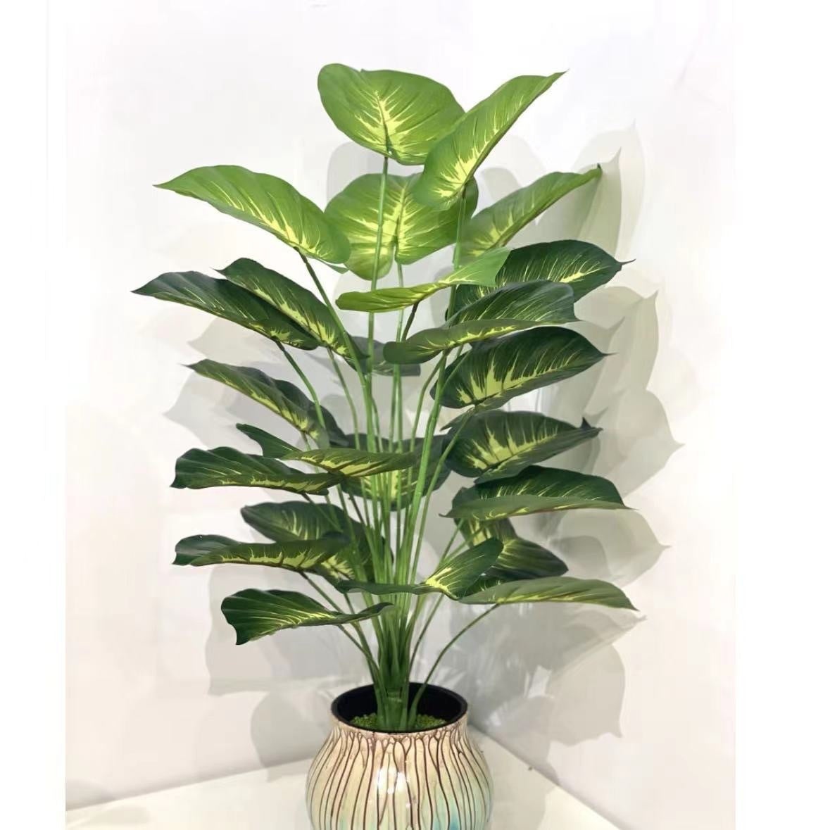 Green Garden Floor Plant