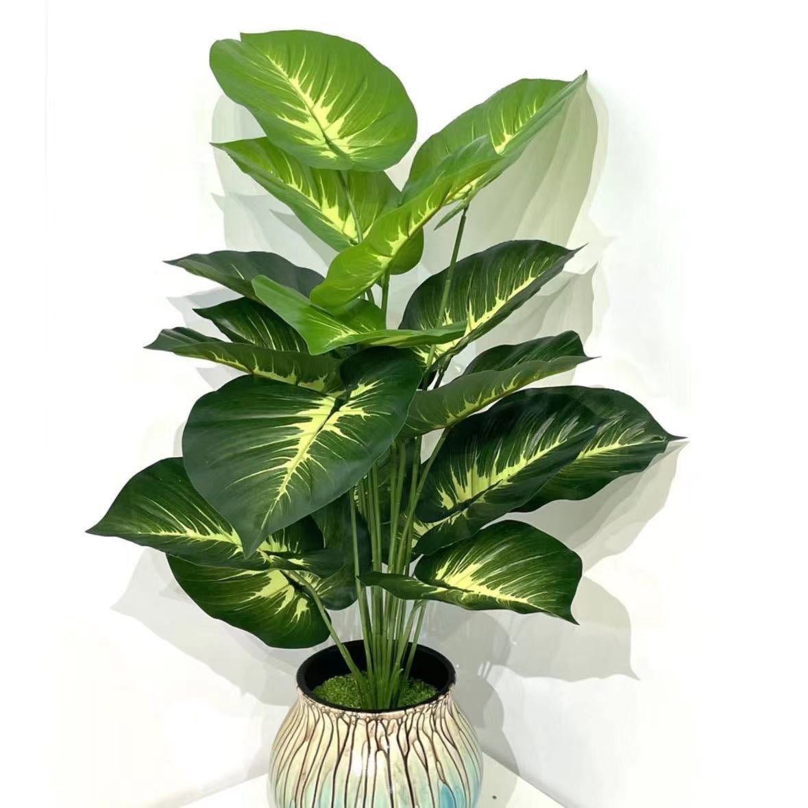 Green Garden Floor Plant