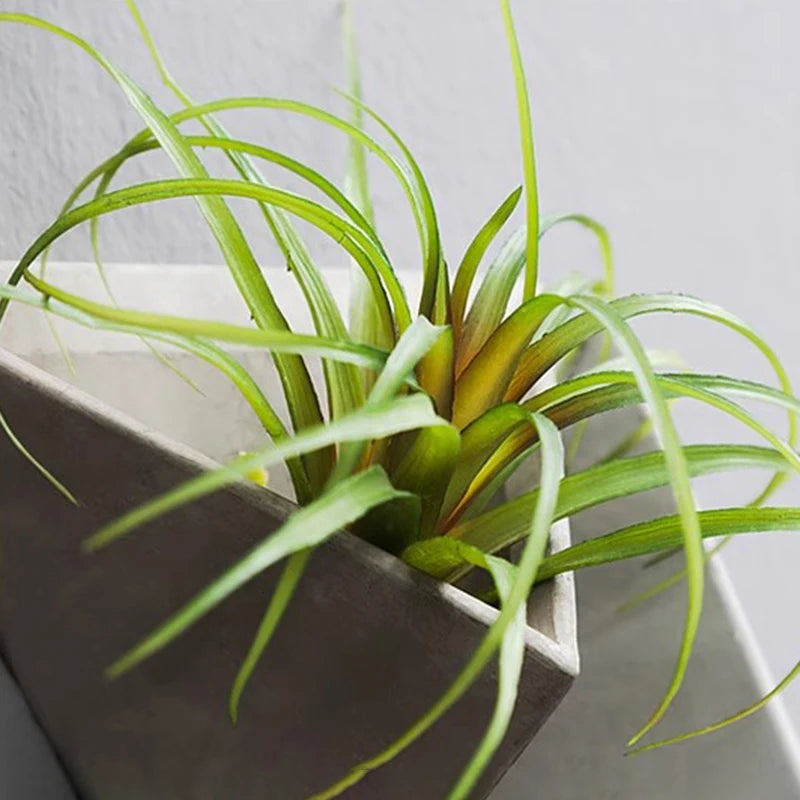 Aesthetic Wall Art Vases